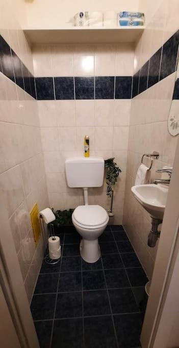 Einzigartiges Apartment Inkl. Gratis Parkplatz Viena Exterior foto